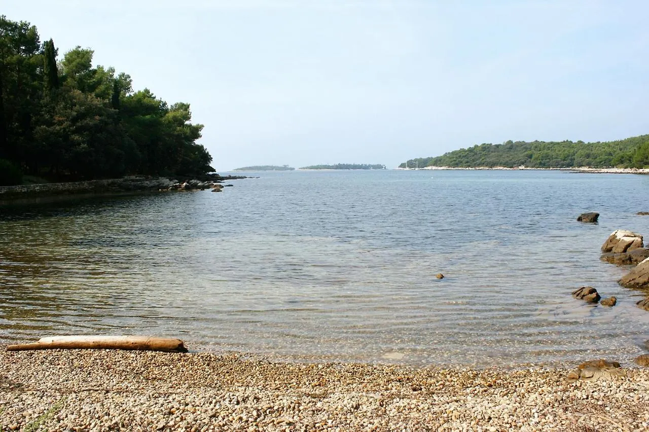 Family Friendly Apartments With A Swimming Pool Rovinj - 3394 克罗地亚