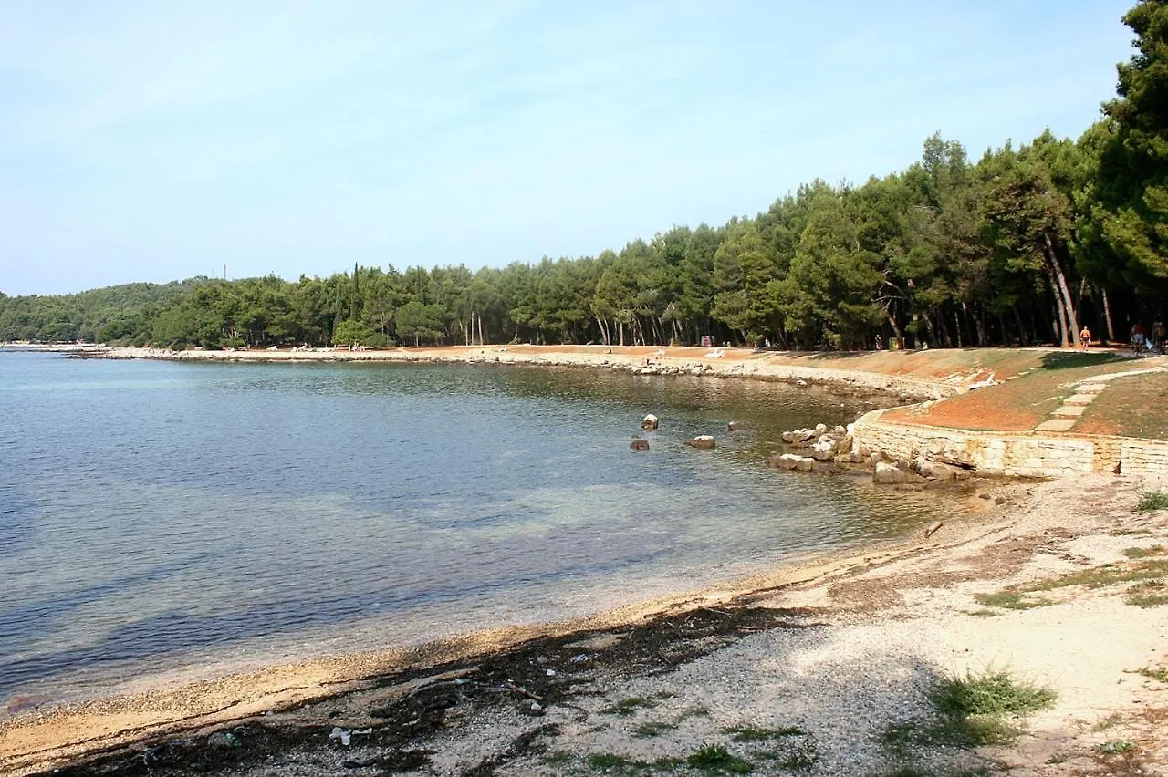 Family Friendly Apartments With A Swimming Pool Rovinj - 3394