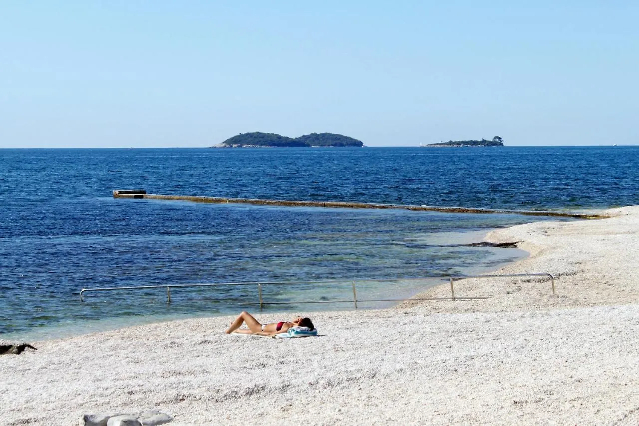 Family Friendly Apartments With A Swimming Pool Rovinj - 3394